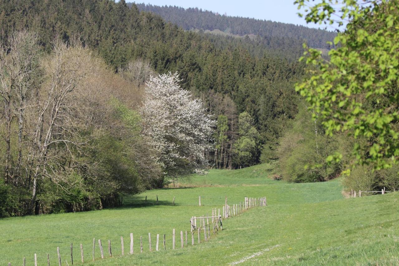 Le Clos du Cerf - Le Sous-bois - Spa Francorchamps Stoumont Extérieur photo