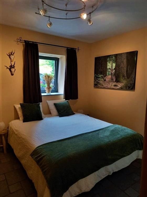 Le Clos du Cerf - Le Sous-bois - Spa Francorchamps Stoumont Extérieur photo