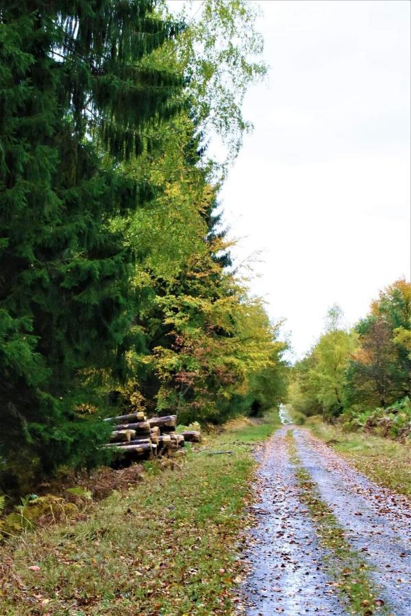 Le Clos du Cerf - Le Sous-bois - Spa Francorchamps Stoumont Extérieur photo